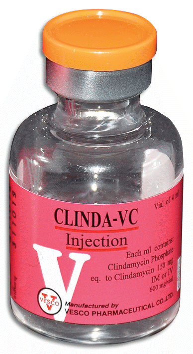 Image Of Clinda-vc Inj 600 Mg-4 Ml | MIMS Thailand